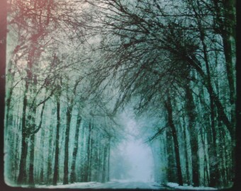 Winter storm, 10x10 inches,Metallic photograph, art, photography #Fine Art photography #Ice storm #winter landscape #Michigan art #Trees