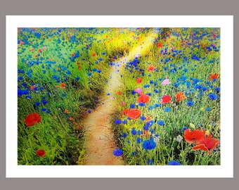 Poppy fields, wanderings, 13x19 inches, Poppy flowers, Poppy fields, Poppy photography, pathway through the Poppy fields, colorful wall art