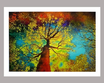 Night sky autumn, 13x19 inches, Matted to 16x24 inches, night photography, colorful autumn trees, Ethereal photography, Ethereal autumn tree