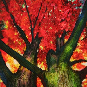 Colorful Autumn Trees Art: Signed Mixed Media Photograph (14x21 inches)