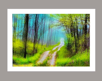 Spring green 13x19 inches, Metallic photography, Free Mat 16x24 inches, forest photography, pathways through the woods, Contemporary nature