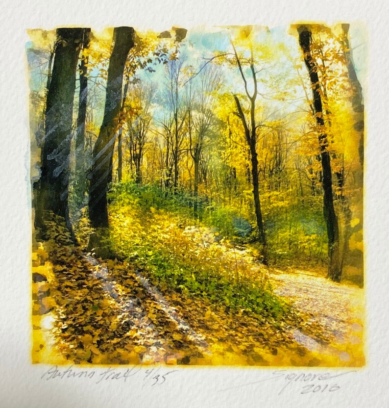 Fall wall art Fine art photography Small Fall wall art Gifts under 20 Nature Landscapes 4x4 inches Autumn trees photo Autumn trails