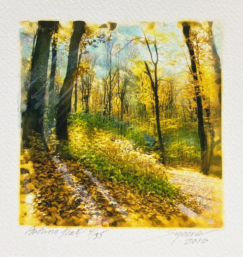 Fall wall art Fine art photography Small Fall wall art Gifts under 20 Nature Landscapes 4x4 inches Autumn trees photo Autumn trails