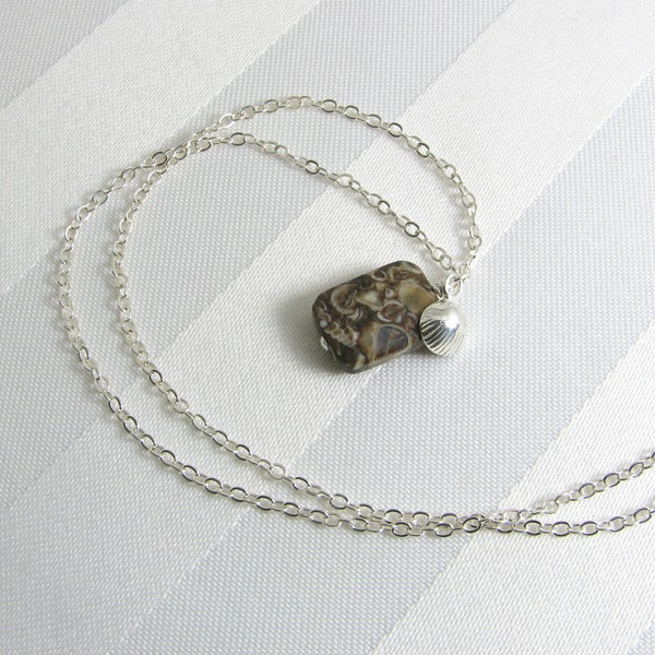 Turritella Agate and Sterling Silver Shell Charm Necklace