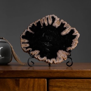 Buy Petrified Wood Tray Online In India - Etsy India