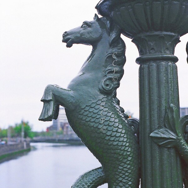 Dublin Ireland, Fine Art Photography, Seahorse Lampost ,Grattan Bridge, Irish Decor, Liffey River
