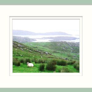 Fine Art Photography, Sheep On Hill, Ireland, Irish Decor, Nature Print, Landscape Photo, Conor Pass image 3