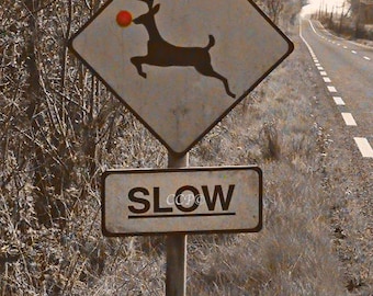 Deer Road Sign, Ireland Print, Fine Art Photography, 5 x 7  Slow Crossing Marker, Sepia Wall Decor