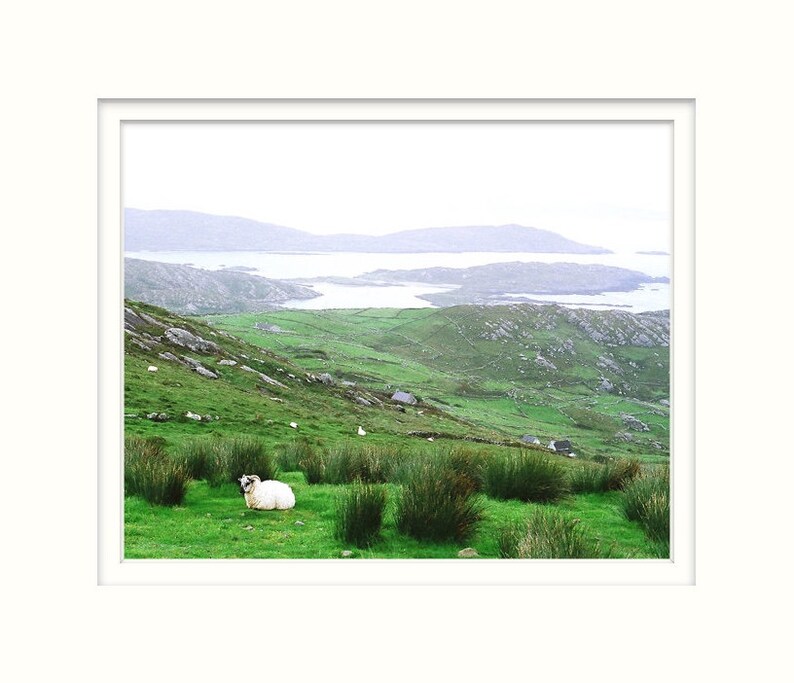 Fine Art Photography, Sheep On Hill, Ireland, Irish Decor, Nature Print, Landscape Photo, Conor Pass image 2