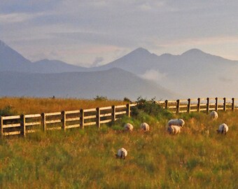 Ring of Kerry Ireland Fine Art Photography, Macgillycuddy Reeks, Irish Decor, Mountains And Sheep, Wall Art