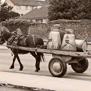Milk Cart, Irish Photography, Sepia Print, Horse And Wagon, 5 x 7 Ireland Decor, Wall Art