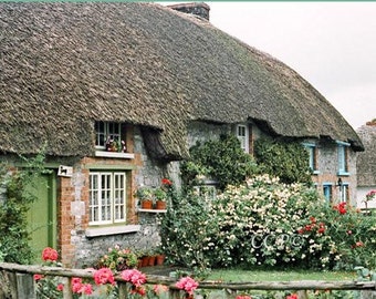 Thatched Cottage, Ireland, Fine Art Photography, Irish Decor, 8 x 10 Color Wall Art, Green Door And Garden