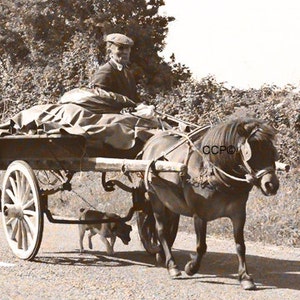 Ireland Landscape, Dog And Pony Cart, Old Ireland, Irish Photography, 5 x 7 Wall Art, Sepia Style Print,