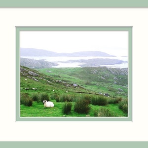 Fine Art Photography, Sheep On Hill, Ireland, Irish Decor, Nature Print, Landscape Photo, Conor Pass image 4