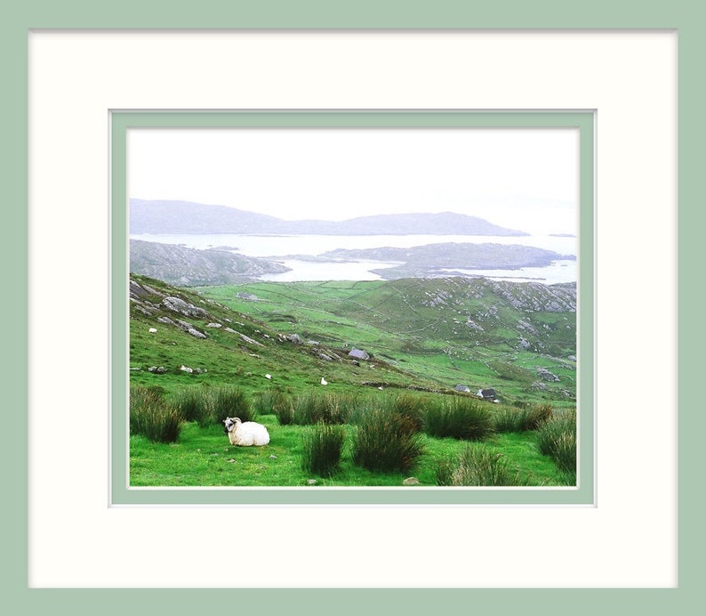 Fine Art Photography, Sheep On Hill, Ireland, Irish Decor, Nature Print, Landscape Photo, Conor Pass image 4