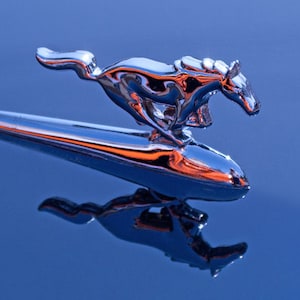 Horse Hood Ornament, Auto Photography, Classic Car Decor, Black And White