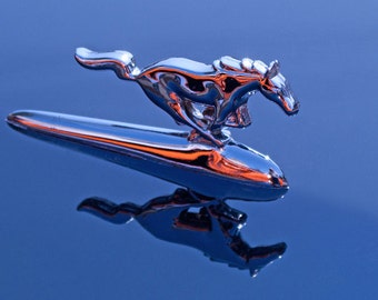 Horse Auto, Hood Ornament, Fine Art Photography, Classic Car Decor, Color Artwork, Black And White