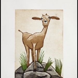 etching, Just a little Goat, hand printed on paper, signed and numbered, original print, nature print, mariann johansen-ellis