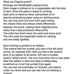 Op de afbeelding: Een tekstuele beschrijving van originele prints, die het proces van etsen en de betekenis van de nummers op de prints uitlegt. De tekst bevat ook de naam van de kunstenaar en website-informatie.