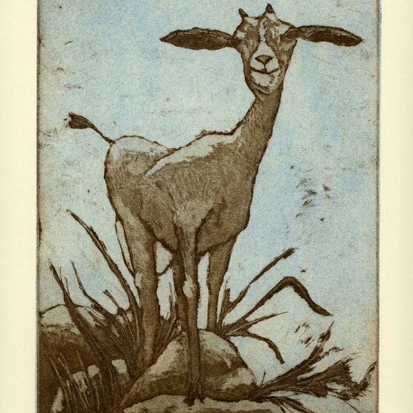 etching, Goat, olive, sepia, sky blue, printmaking, home interior, farm kitchen, country cottage, pets, rustic decor, farm animal, humor