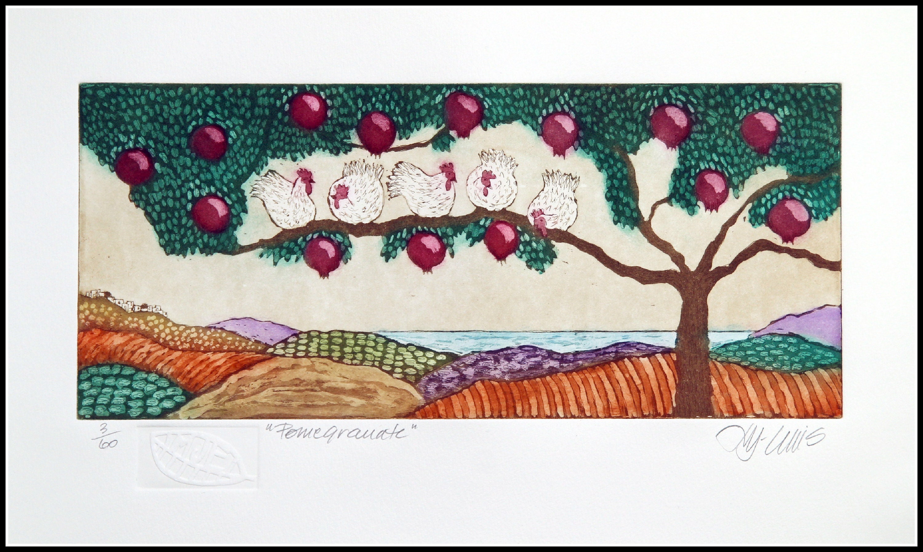 Pomegranate For Chickens:  What Veterinarians Really Say About The Skin! - c4ipq23