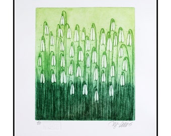 etching, Snowdrops, handprinted, spring flowers, signed, Mariann Johansen-Ellis