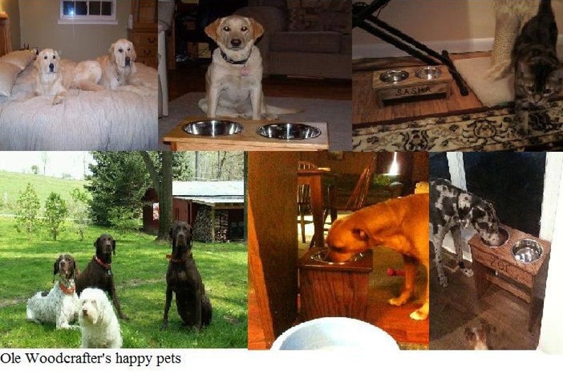 Elevated raised 3 dog bowl feeder 12 inches tall free pet ...