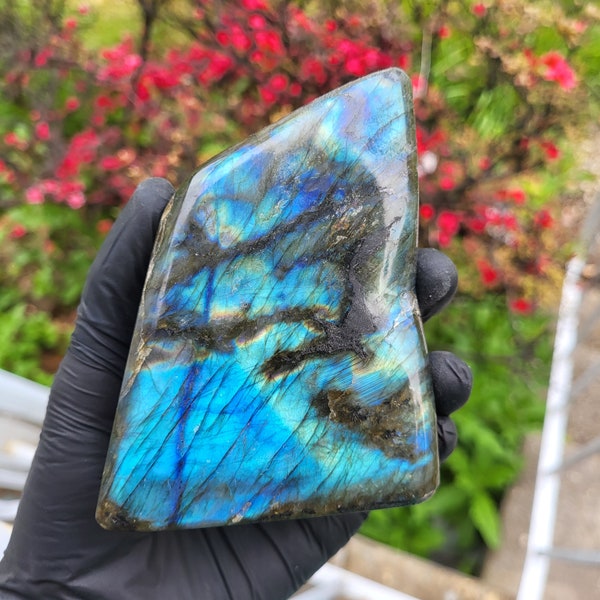 Labradorite Freeform, Blue Labradorite, Crystal Specimen, Crystal Decor, Unique Crystals