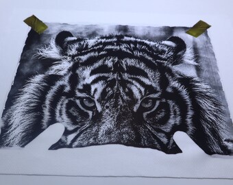 Offset Photoprint Heat Transfer,Water-base Print,Personalized Heat Transfer,CMYK Photo Print,High-Quality Water-Based Photo Print