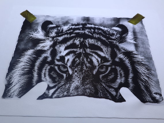 Offset Photoprint Heat Transfer,Water-base Print,Personalized Heat Transfer,CMYK Photo Print,High-Quality Water-Based Photo Print