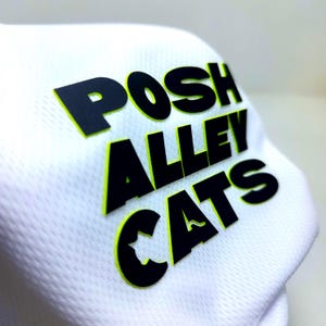 Puede incluir: Tela blanca con las palabras "POSH ALLEY CATS" en letras negras con un contorno verde neón. La tela tiene un patrón texturizado y perforado.