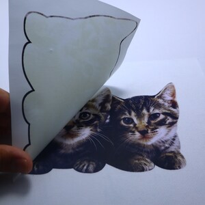 May include: A close-up of a sticker sheet with two adorable kittens. The kittens are brown and white with black stripes. The sticker sheet is being peeled back to reveal the kittens.