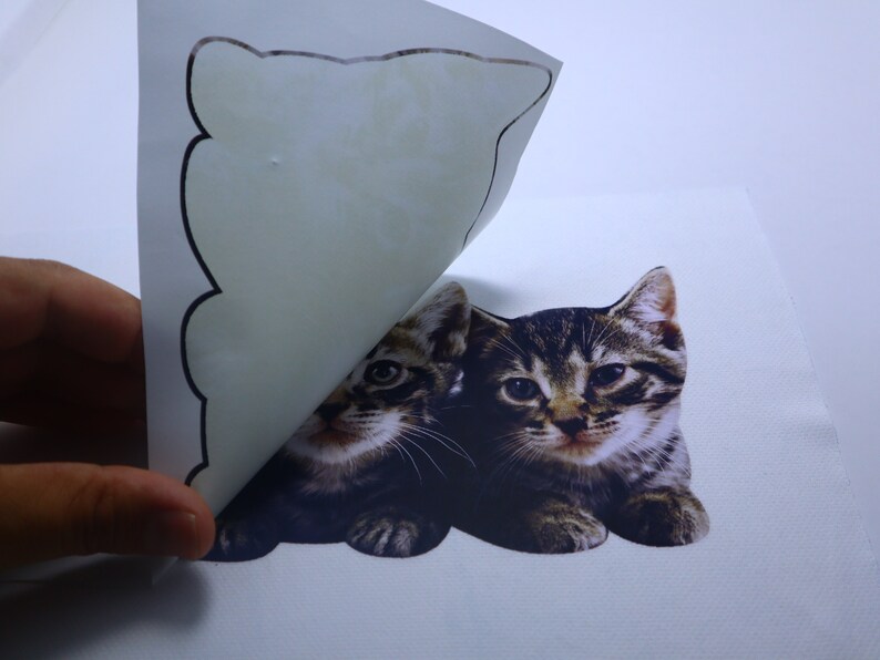 May include: A close-up of a sticker sheet with two adorable kittens. The kittens are brown and white with black stripes. The sticker sheet is being peeled back to reveal the kittens.