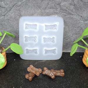May include: Two miniature green plants in orange ribbed pots, a translucent silicone mold with six bone-shaped cavities, and two small brown bone-shaped objects arranged on a dark surface. The plants have round leaves and thin stems.