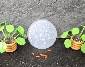 Fire Candies Silicone Mold:   Miniature Food- UV Resin Crafting