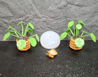 Hermit Crab Silicone Mold:  Miniature Resin Crafting