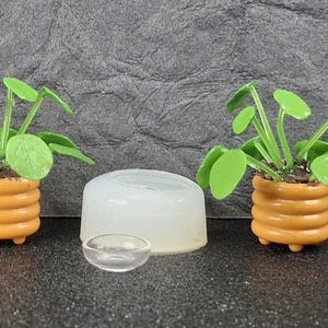 May include: Two miniature potted plants with bright green leaves and orange pots. A small clear bowl and a white, rounded object are between the plants. The plants are a miniature version of a Pilea peperomioides.