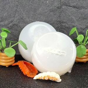 Lobster Tail Silicone Mold:   Miniature Food- UV Resin Crafting