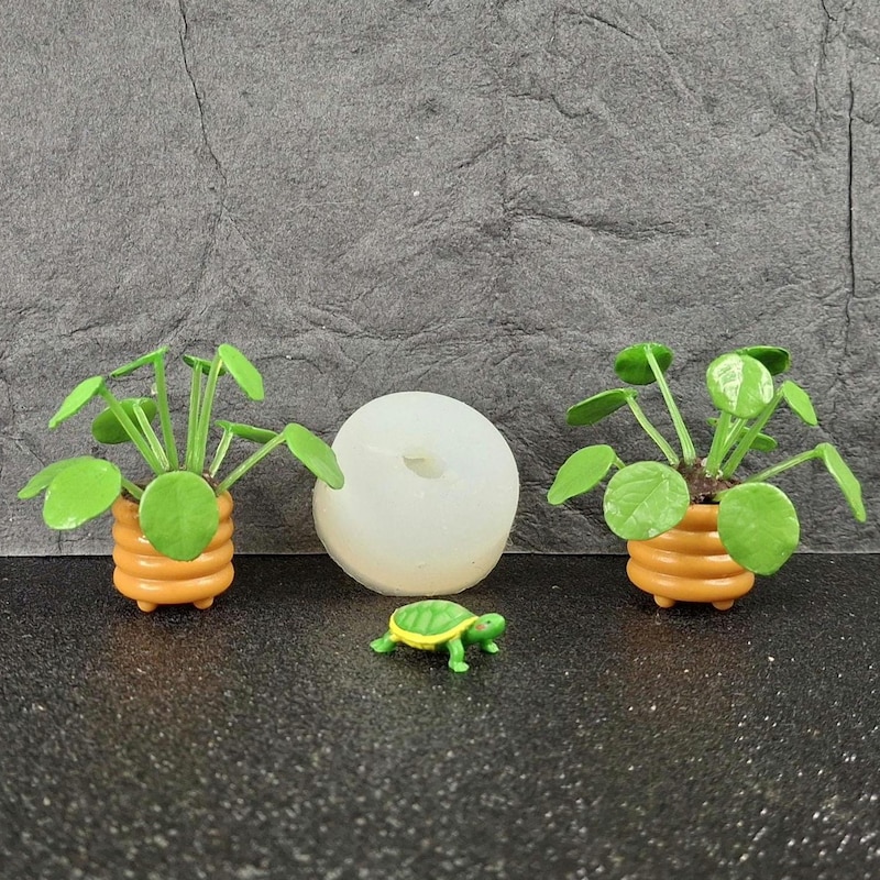 Miniature Turtles - Etsy