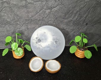 Coconut Bowls Silicone Mold: Miniature Food- UV Resin Crafting
