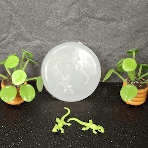 May include: A clear, round, decorative piece with two lizard figures etched inside. Two small potted plants with green leaves and a pair of small, green lizard figurines are also present. The plants are in orange pots.
