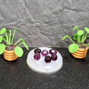May include: Miniature potted plants with bright green leaves and round, light orange pots. A collection of faceted, deep red gemstones sits on a white, circular base. The background is a textured, dark gray surface.