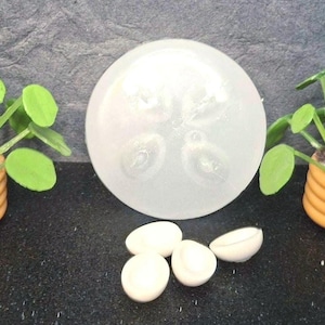 May include: Two miniature potted plants with green circular leaves in ribbed tan pots, a circular translucent silicone mold with four oval indentations, and three small white semi-spherical objects arranged in a cluster on a dark surface.
