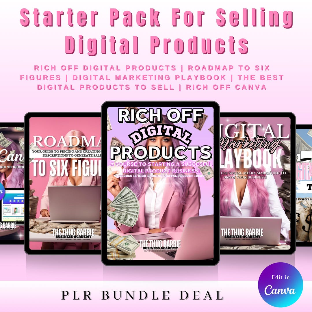 PLR Starter Pack for Selling Digital Products, 5 Pack Bundle, PLR ...