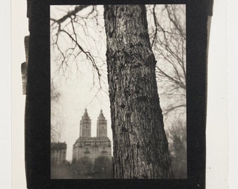 Fotografía vintage de platino - Central Park c1994