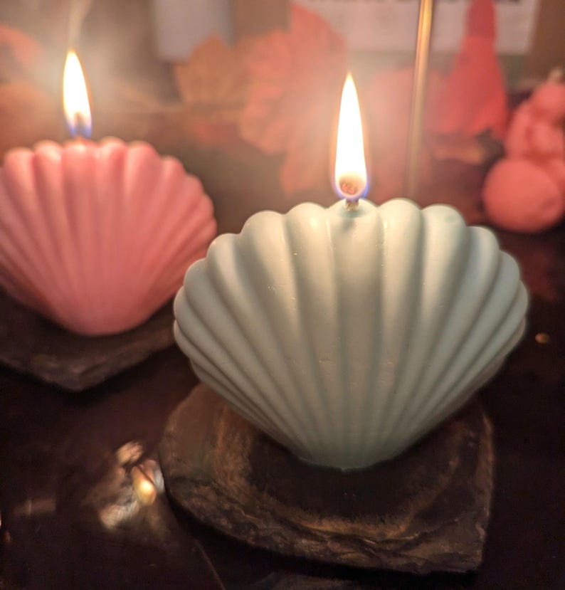 Sea Shell Candles Pair Etsy UK