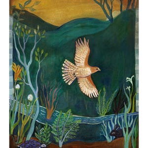 Greeting Card, In Flight,  bird, hawk, bird watcher, nature, woods