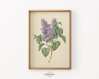 Purple Lilac Flowers Vintage PRINTABLE art | Room Wall Floral Art Print | Digital Download | Room Decor Antique | Century Prints | CC210