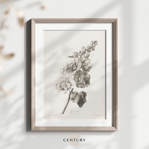 Vintage Flower Sketch PRINTABLE Art | Vintage Floral Wall Art Print | Digital Download | Black White Antique Room Decor | CC266
