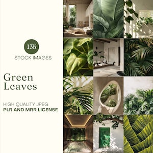 Green Leaves Stock Images Lush Nature Stock Photo Bundle MRR PLR Done For You Instagram Reel Cover Holistic Lifestyle Minimalist Interior